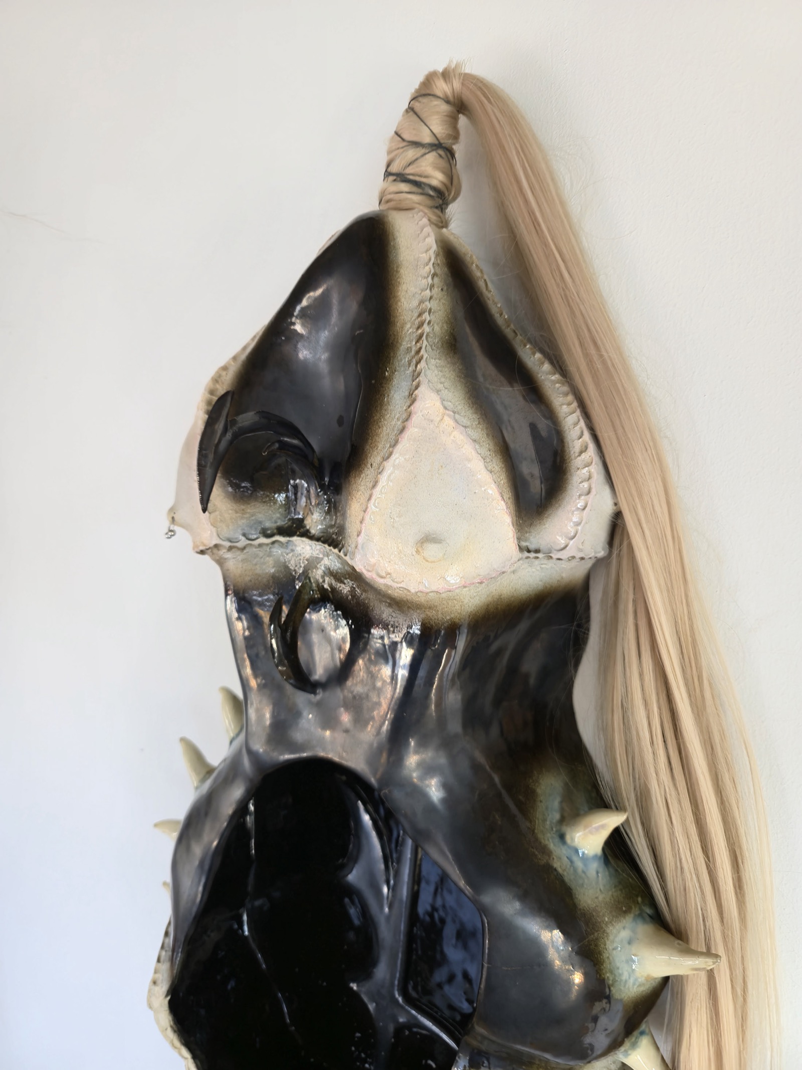 pro alter